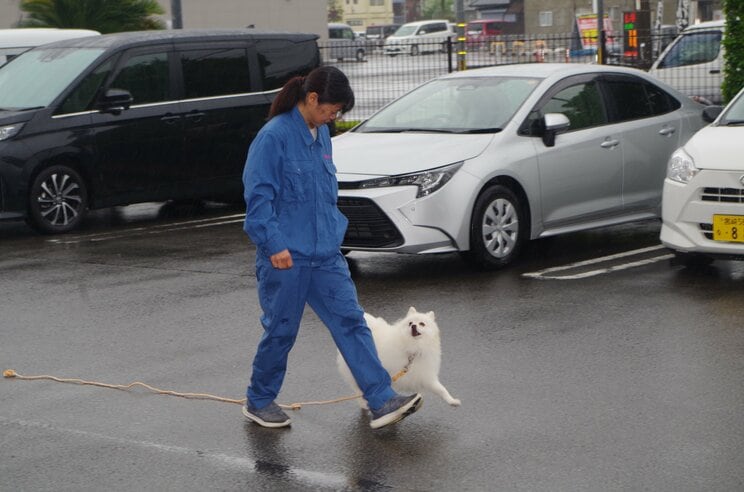 ハク号と竹越さん（写真／日向警察署提供）