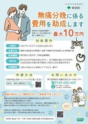 東京都の無痛分娩費用の助成の案内
