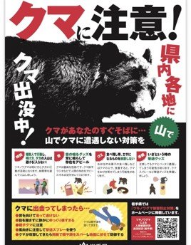 《クマ溺死に岩手県が指導》「銃だと家畜が驚いて農家も嫌がる…」“安全考慮”だけではない町の事情と相次ぐ苦情電話…今後の対策は？_4