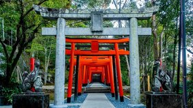 神社に「行く」ではなく「あがる」。神社ソムリエが伝授する最速で開運する参拝のお作法