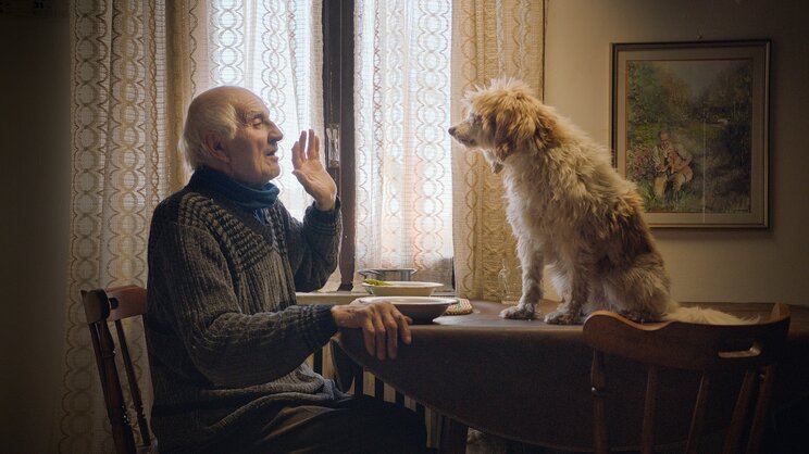 【えいがの絵日記】おじいさんと犬。癒やされて心打たれるドキュメンタリー『白いトリュフの宿る森』_7