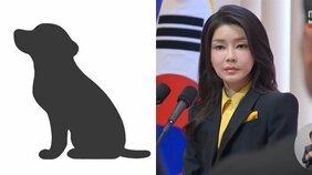 〈韓国で犬肉販売禁止へ〉「外国に言われてというより“家族の一員”ですから」食用犬農場は8割超が廃業…代わりに食べるようになった動物は