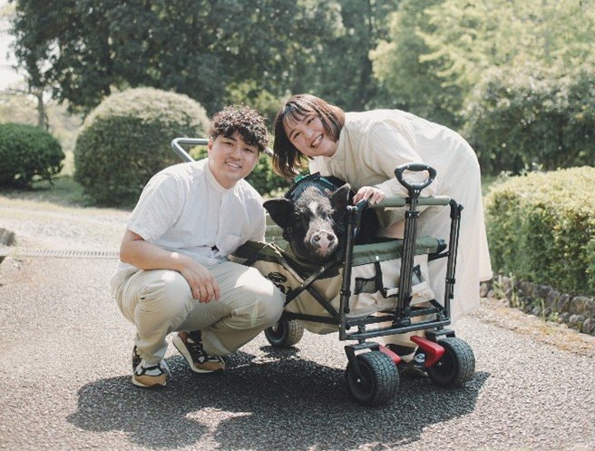 マイクロブタの“ぶひまる”と暮らすご夫婦