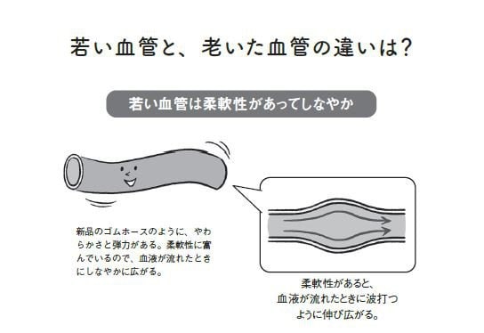 体が硬くなった人は動脈硬化が進んでいる?！　血圧と冷えだけじゃない。体の硬さは、血管の健康を守る重要なバロメーター_1