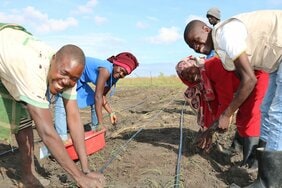 アフリカでは日当制にしないと支援プロジェクトは成功しない? 援助によって与えられた畑は報酬なしには耕さないという現地住民のこだわり