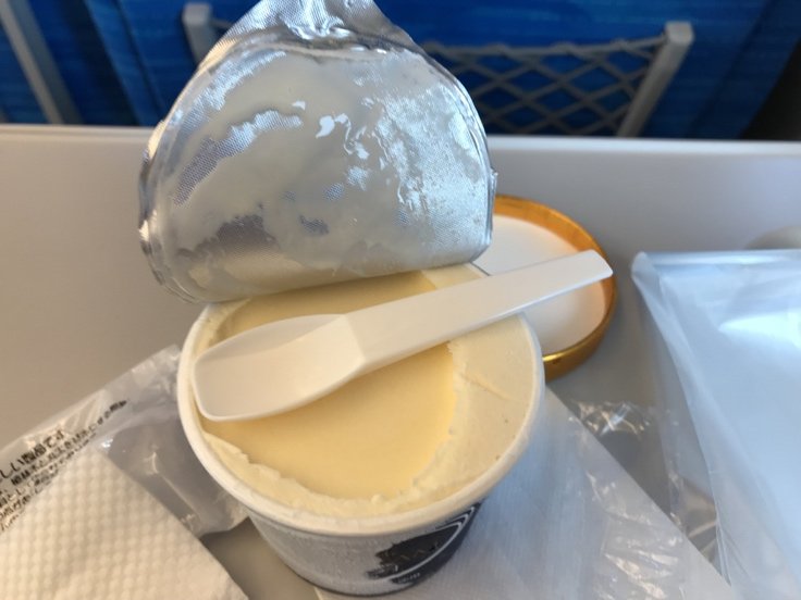 新幹線のワゴン販売で購入できたカチカチに凍ったアイス