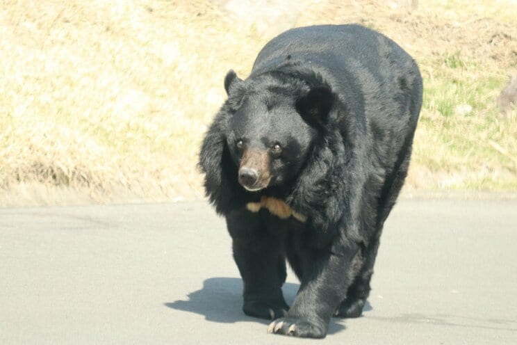 写真はイメージです(PhotoAC)