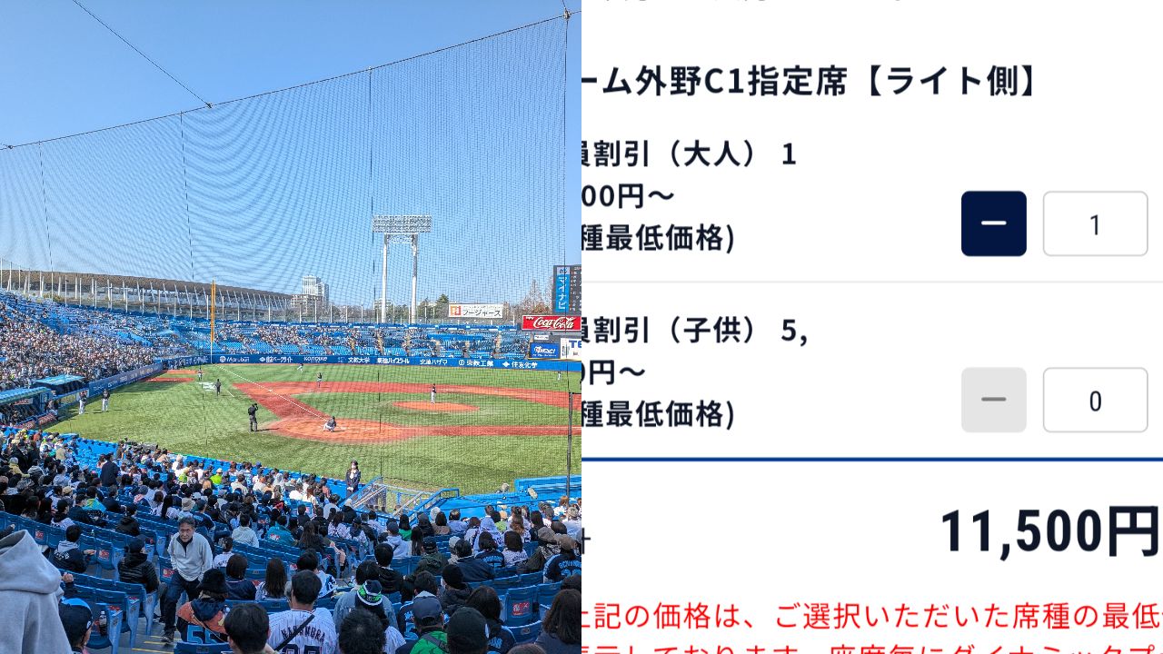 外野席でも1万円超〉高額化が止まらないプロ野球チケット…球団は収益アップもライト層からは悲鳴があがる「ダイナミックプライシング」の功罪 |  集英社オンライン | ニュースを本気で噛み砕け