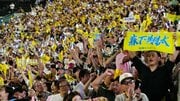 なぜ阪神ファンの9割が推しタオルを持つのか？  推しタオルが生む「シンクロニシティ」の正体
