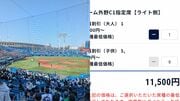 〈外野席でも1万円超〉高額化が止まらないプロ野球チケット…球団は収益アップもライト層からは悲鳴があがる「ダイナミックプライシング」の功罪