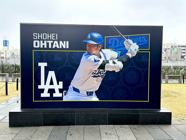 メジャーで活躍する大谷翔平もWBCなどではバント安打を見せた　写真／shutterstock