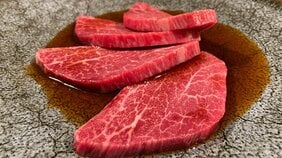 【部位別・焼ニシュラン】一切れで白米一膳食べてしまうサガリ、関東三大ハラミの筆頭、パーフェクトなカルビ…心が震えるほどおいしい焼肉たち