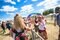ボナルーの様子 ©️Bonnaroo 2024