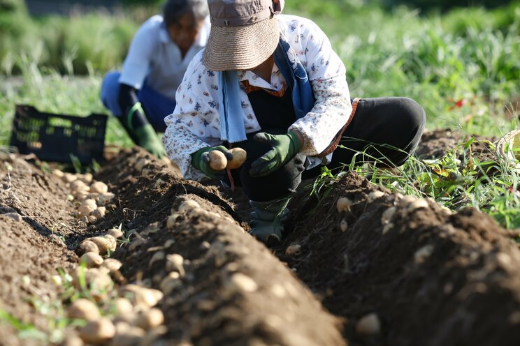 「目上の者に逆らうな」「弱い女性を守る」日本の田舎に時代錯誤の価値観が蔓延しがちな理由_1