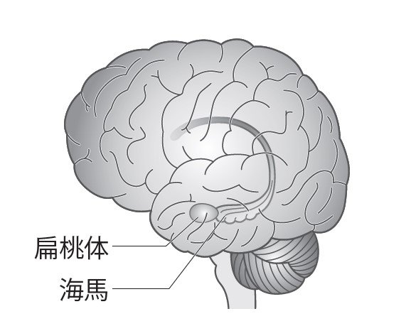 親子共通の趣味がある家庭の子どもはIQが高く、親の認知症予防にもつながることを脳科学的に説明できる根拠_2