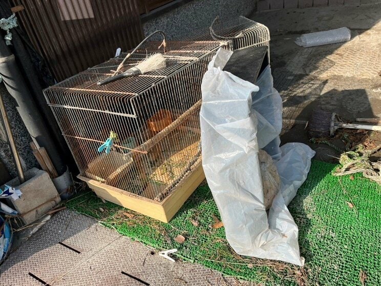 文鳥がいた鳥かご（撮影／集英社オンライン）