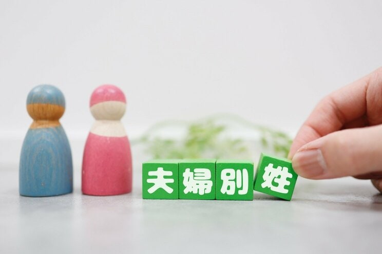 写真はイメージです　写真／Shutterstock