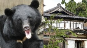 〈秋田・元教師エリート父殺人事件〉クマ襲撃ではなく「ほとんど引きこもっていた」無職男(51)が殺人容疑で逮捕…「親子仲が悪かった」パトカーも頻繁に出動