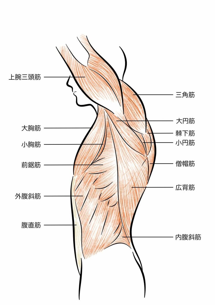 スマホを使い過ぎて、腕が悲鳴!?　まるで四十肩のような症状…若い世代でも肩が上がりにくくなってしまうのはなぜ？_1