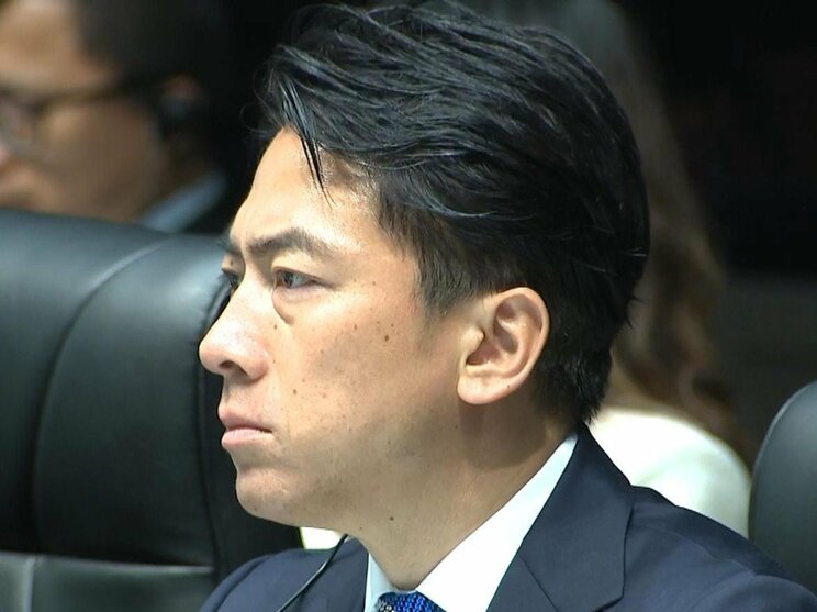 ステマ騒動で急失速か（本人Xより）