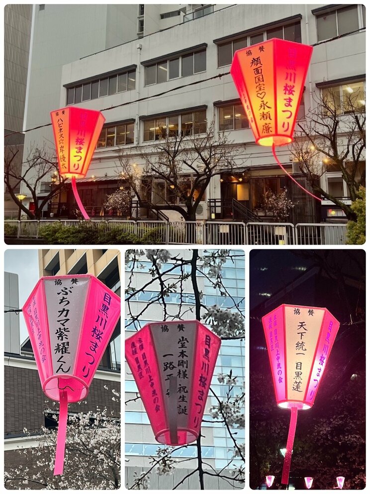 ぼんぼりは協賛企業名だけでなく、アイドルファンによる推しの名前を入れたものも多い。先着500基の争奪戦が年々激化している。