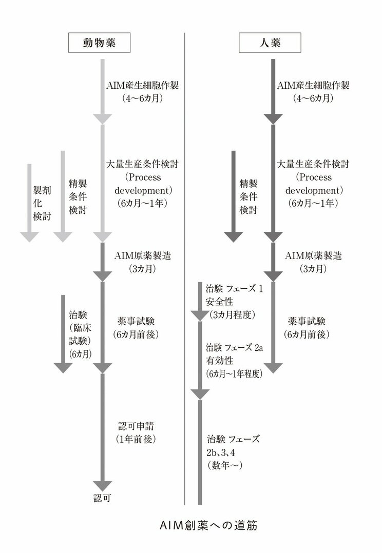 猫の寿命が大幅に延びるAIM投薬リリース前夜…かつてないほどスムーズに創薬が進んでいる理由とは_6