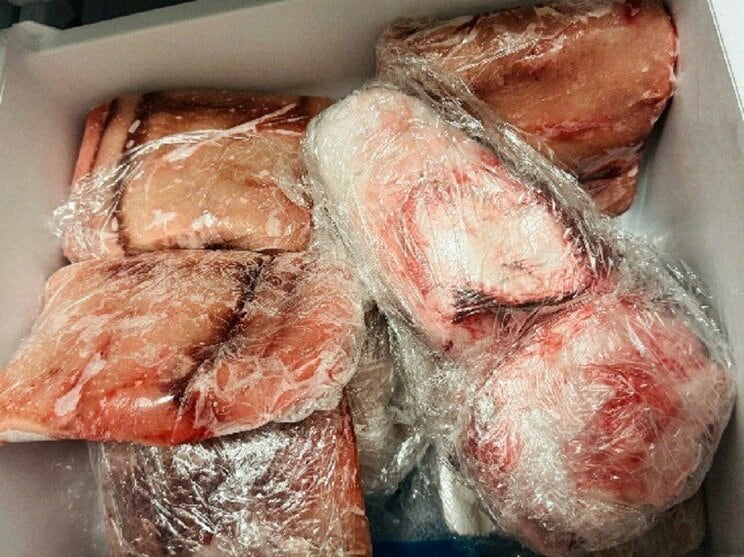 冷凍庫を占領するサメ肉　（写真提供／激せま水産）