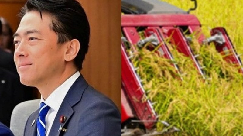 コメ最高値〉「農協の吊り上げは異常だった」米業者が明かす価格暴騰と