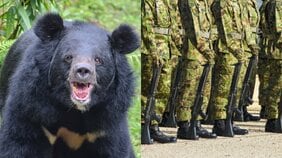 自衛隊はクマを撃てるのか? 元自衛隊レンジャー弁護士が語る“出動の現実” 「クマは銃剣で倒せます」