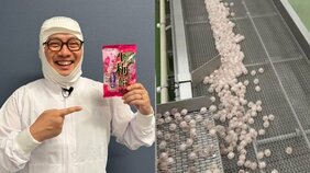 「生梅飴」はなぜ40年も愛される？ 大ファンのオモコロ原宿が工場潜入、1日約15万袋…“変わらない味”の舞台裏