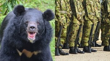 自衛隊はクマを撃てるのか？ 元自衛隊レンジャー弁護士が語る“出動の現実” 「クマは銃剣で倒せます」