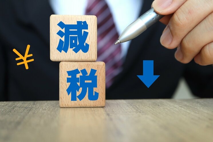 参院選で、自公政権を過半数割れさせる方法…鍵は32ある１人区にあり「石破政権は国民が望む減税をしない」経済誌元編集長 _2