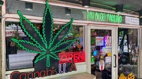 「大麻=悪」と断罪できないタイの大麻事情…再規制しても「医療目的」は建前で誰でも吸える状況が続くワケ