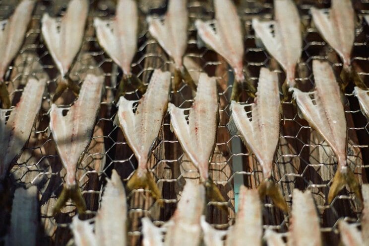 雑貨店hal店主後藤由紀子さん「久しぶりの夫婦二人暮らし」「推し活」「引き際」を語る【私のウェルネスを探して　後藤由紀子さん　後編】_10