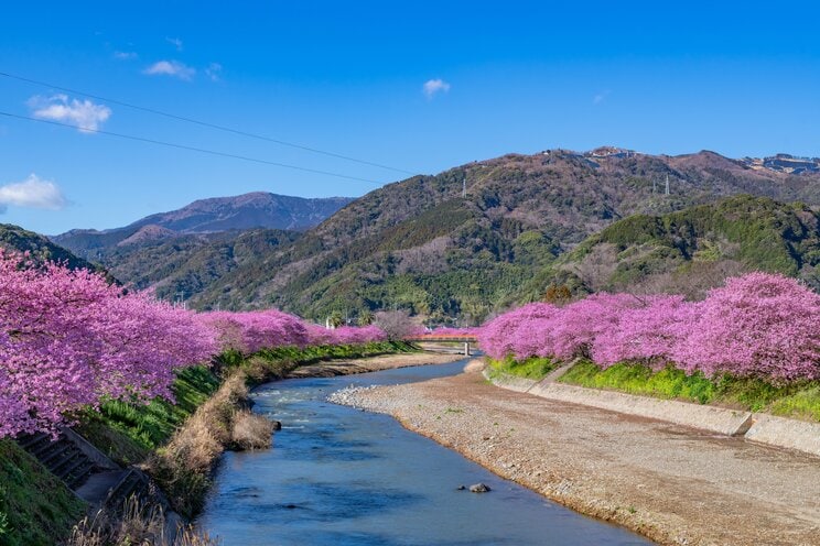 お尻がまあるくてかわいく、とてつもなく癒される静岡県内最古の仏像…一度は訪れてみたい伊豆、南禅寺の仏像群_2