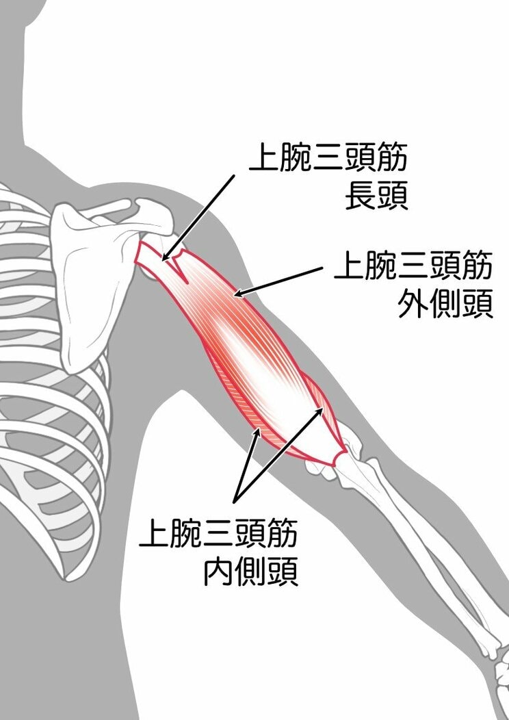 スマホを使い過ぎて、腕が悲鳴!?　まるで四十肩のような症状…若い世代でも肩が上がりにくくなってしまうのはなぜ？_2