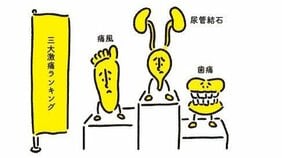 「10人に1人が胆石持ち」「激痛の尿管結石」…なぜ人間の体に石ができるのか？ 予防医学を提唱する医師に聞いてみた！