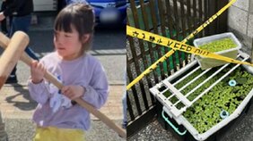 〈品川・母子4人死亡〉妻は心を病み休職、夫は仕事を辞め動画編集業に「本当に気づくようなことはなかったんです」と近所の声