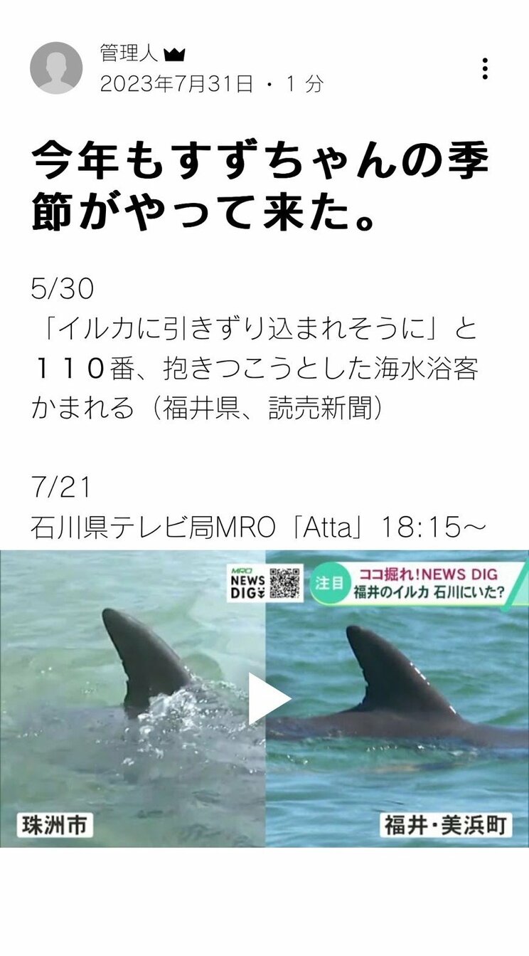 〈福井県・“かみつきイルカ”で17人負傷〉珠洲市の“伝説のイルカ”すずちゃんと同一個体？ 名づけ親が語る悲しい胸中「人が多くて興奮してるだけ、帰ってきてほしい」_9