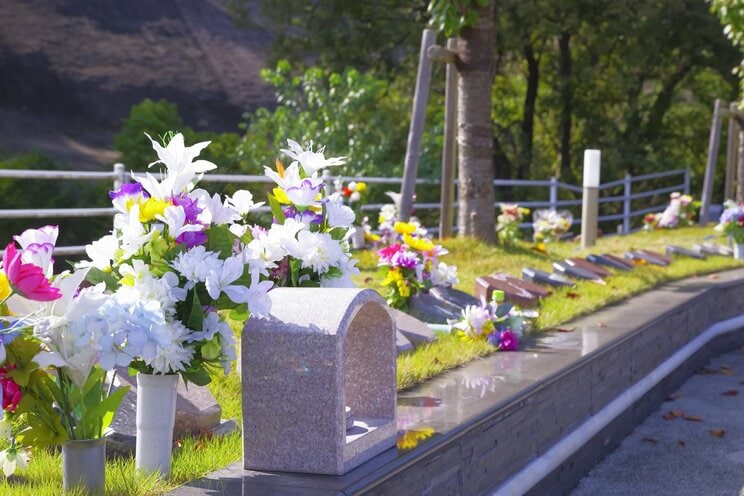 霊園の樹木葬エリア（写真／PhotoAC）