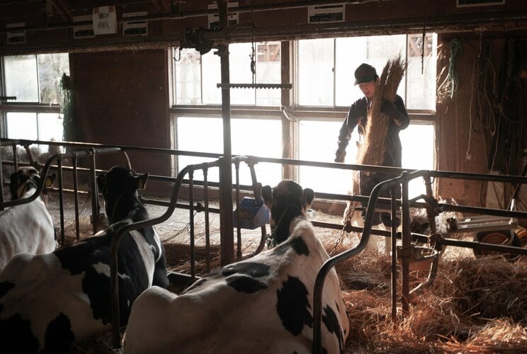 〈写真で振り返る東日本大震災〉原発事故から避難した酪農夫婦を待っていた現実「牛は愛玩動物ではなく生きるための資源」「私たちはもう被災者でもない」牧場用の土地を買って新たな生活へ_21