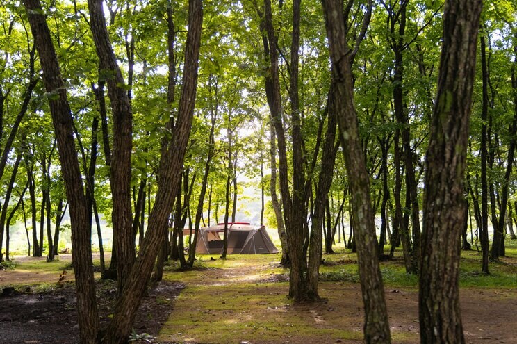手ぶらでキャンプ、スノーピークの人気アイテムをまるっとお試し。「SHIRAKAWA KOGEN Campfield」は“野遊び”の魅力が詰まった快適＆極上のキャンプフィールドだった！_02
