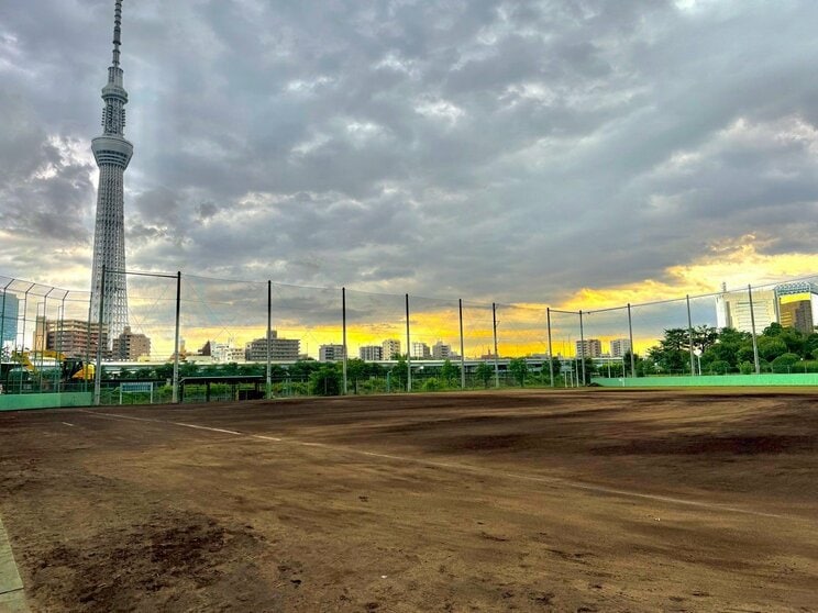 この近辺の野球少年は、スカイツリーを見ながら試合や練習ができる羨ましい環境にある（撮影／集英社オンライン）