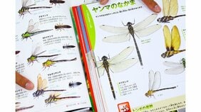 2800種の昆虫を生きたまま撮り下ろし! 「昆虫図鑑」製作者の執念