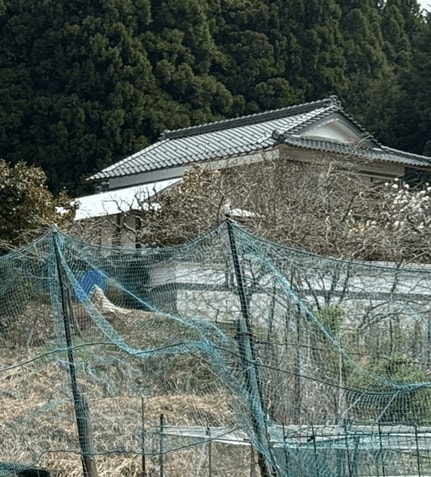 安達容疑者の自宅