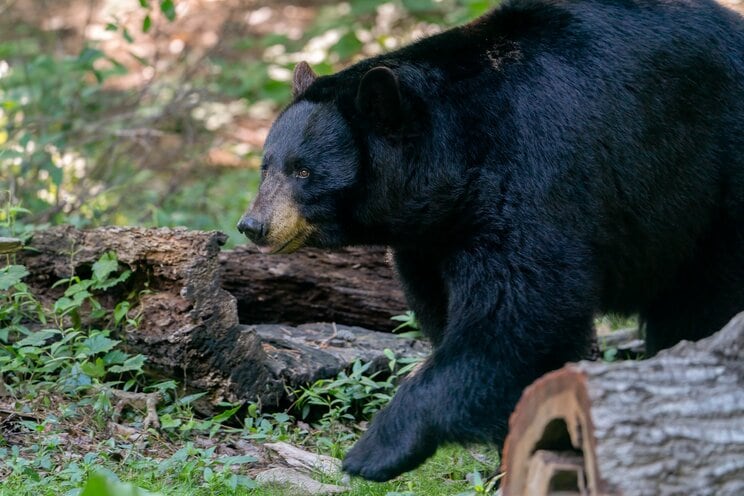 写真はイメージです（写真／Shutterstock）