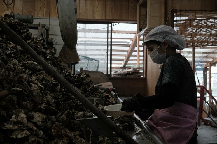 在日不良ベトナム人「ボドイ」が起こすトラブルの数々。安くて便利な日本社会を維持するために外国人ヤンキーを「現代の奴隷制」のなかで輸入しないと成り立たない理由_5