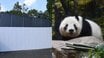 〈旧パンダ舎は解体へ〉入園者2割減…次の主役はハシビロコウ？ 副園長が語った上野動物園の今「またパンダ飼育にチャレンジしていければ」