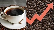 コメの次はコーヒー豆が歴史的高騰「コーヒー1杯1000円という時代が来ても不思議ではない」原因と今後の展望は?