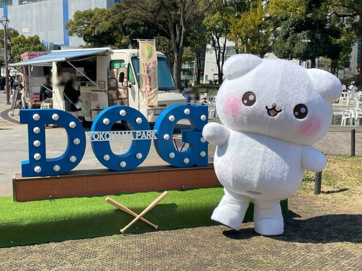 癒しの言葉や愛らしいビジュアルに癒される人が急増中！「ふわりんましゅ」に20代〜30代女性がこぞって沼る理由_5